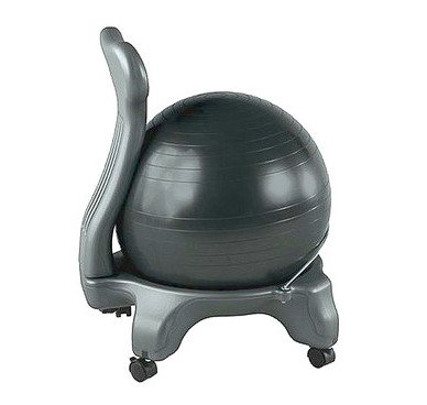 Balance Ball Chair